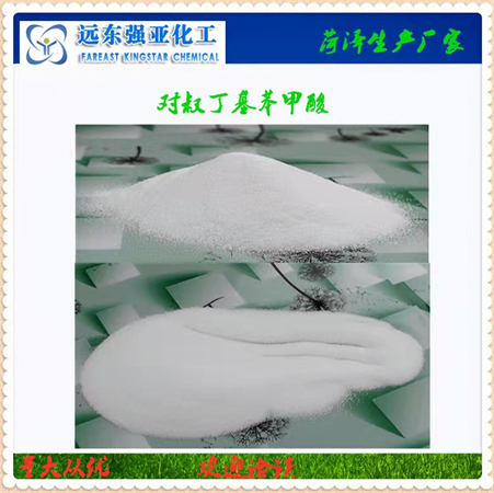 對叔丁基苯甲酸